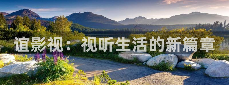 yy影院在线观看免费播放电视剧大全桔