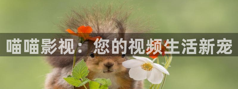 yy影院私人影院