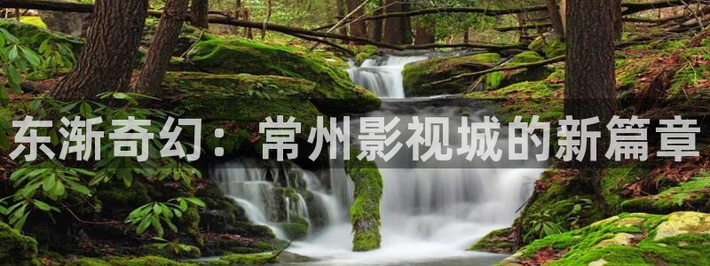 51yy影院