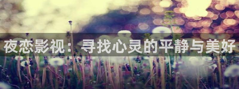 yy影院在线观看免费播放电视剧大全视频