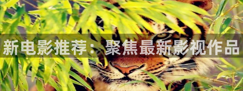 yy影院在线观看免费播放电视剧大全桔