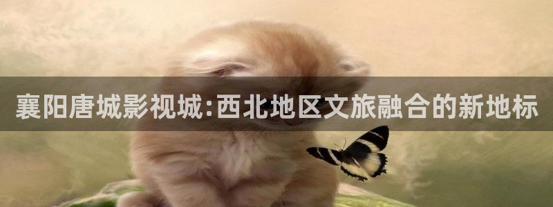 51yy影院