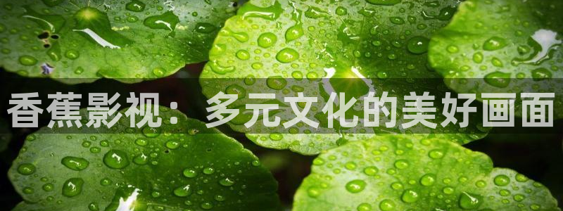 yy影院神马