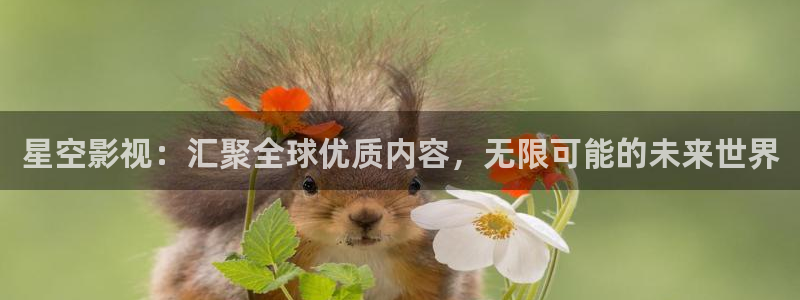 yy影院免费观看电视剧全集
